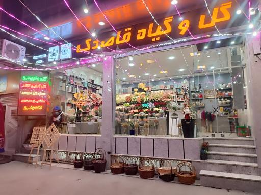 عکس فروشگاه گل و گیاه قاصدک