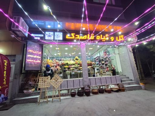 عکس فروشگاه گل و گیاه قاصدک