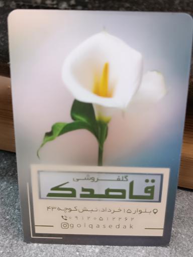 فروشگاه گل و گیاه قاصدک