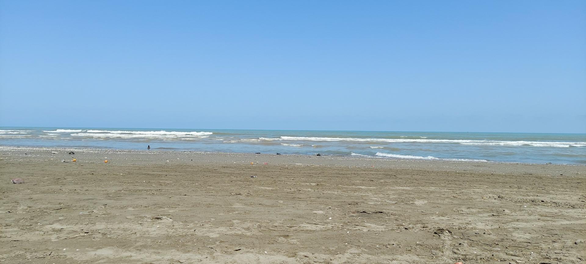 عکس پارک ملت