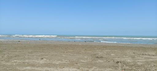 عکس پارک ملت