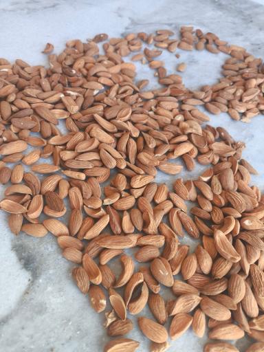 عکس بورس بادام درعلی 