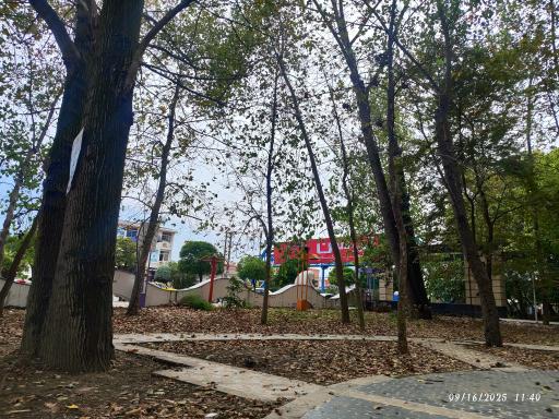 عکس پارک طاهباز