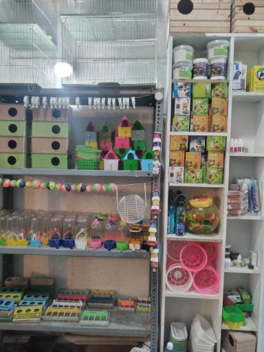 عکس پرنده سرای روزیلا