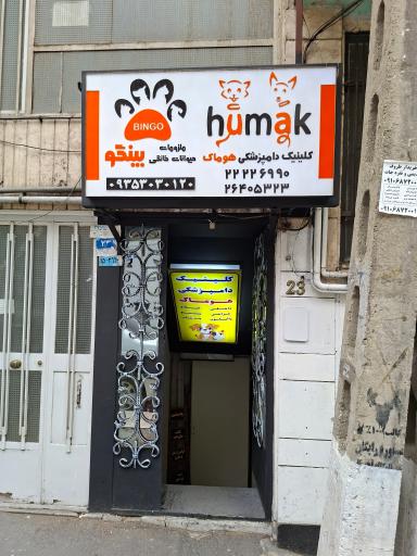 عکس پت شاپ بینگو
