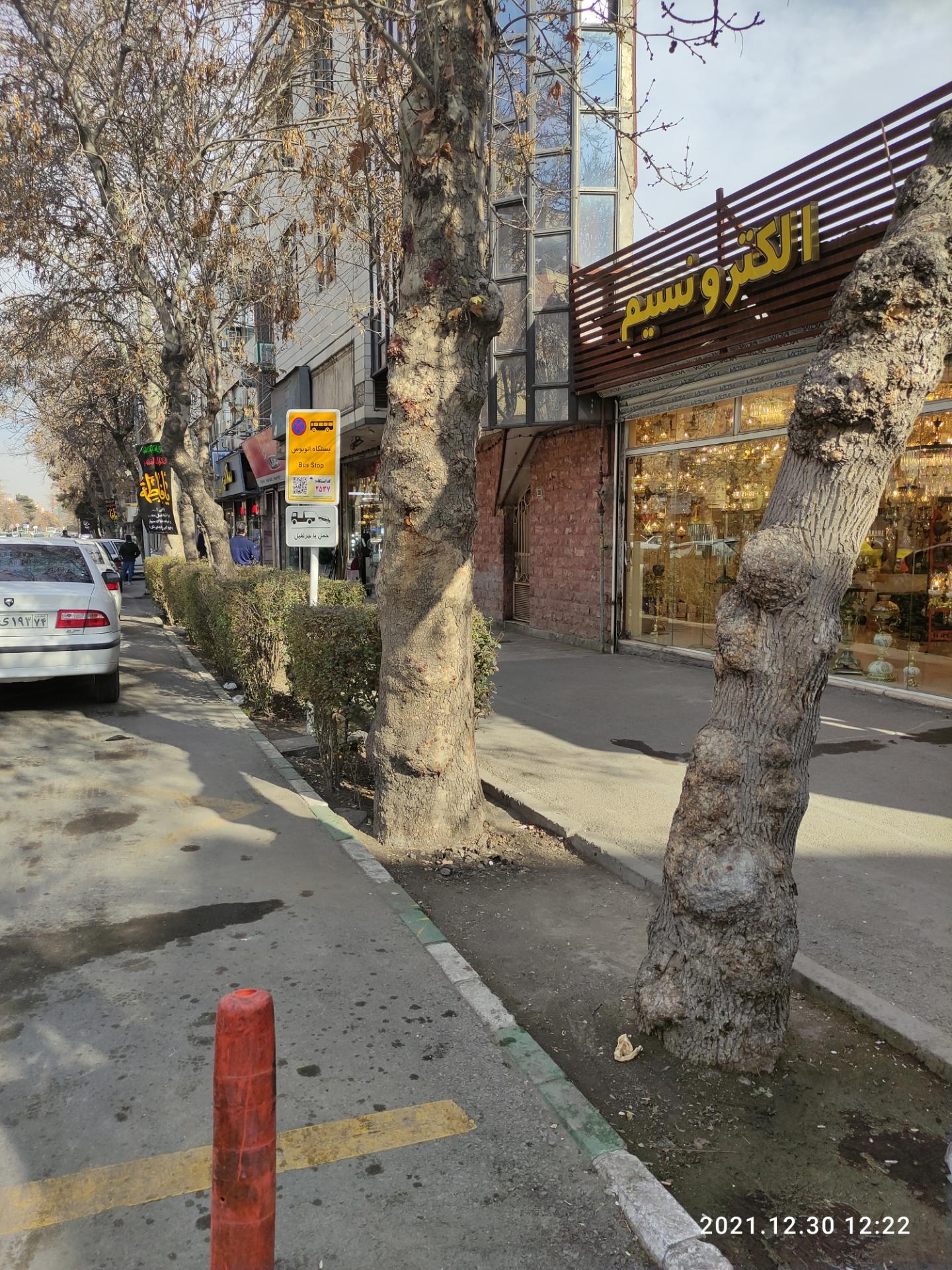 عکس  آخوند خراسانی 28