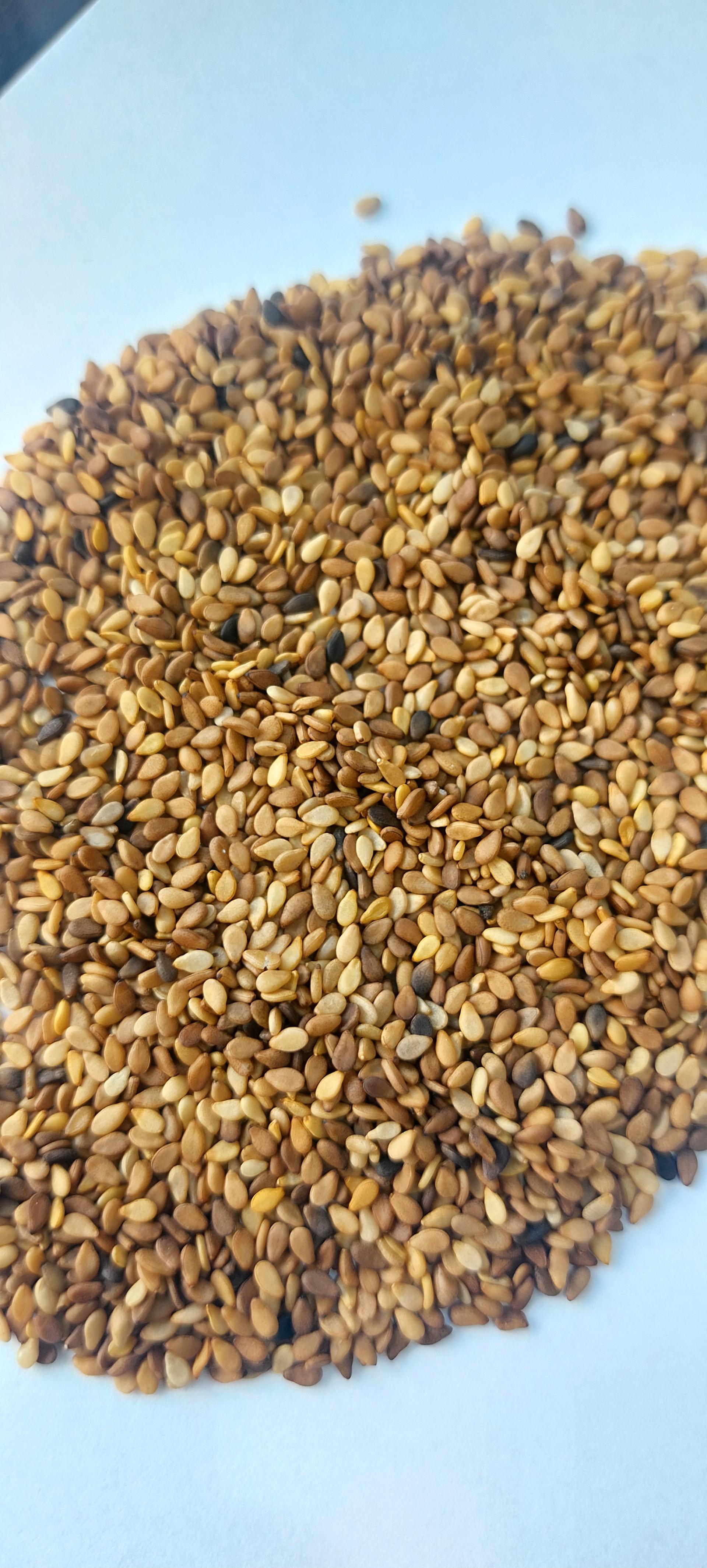 عکس کنجد آسمان (سپاد)