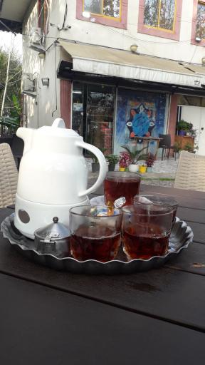 عکس باغ رستوران افرا