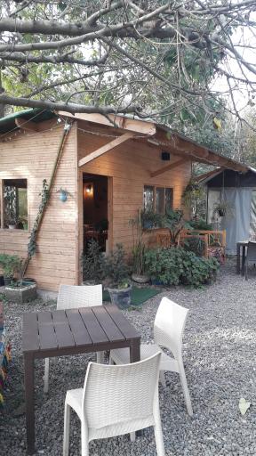 عکس باغ رستوران افرا