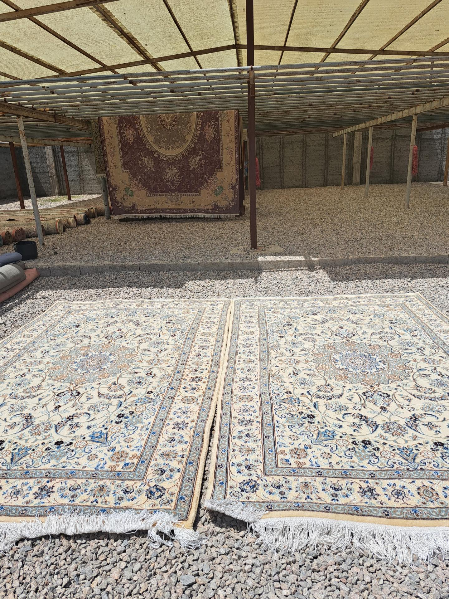 عکس قالیشویی هاشمی