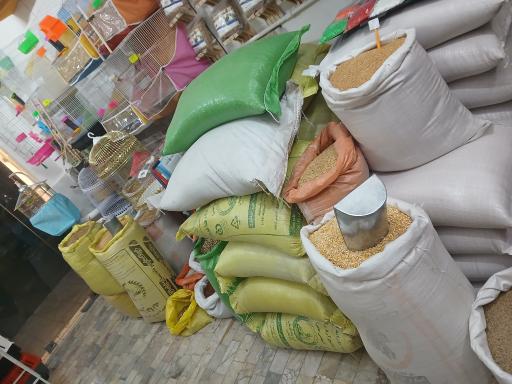 عکس خوراک پرندگان 