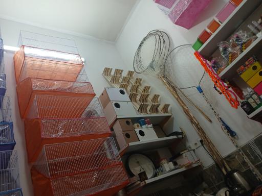 عکس خوراک پرندگان 