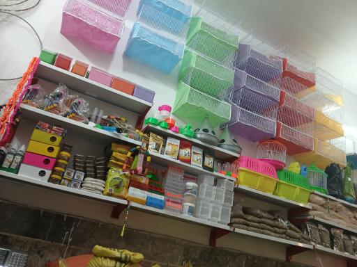 عکس خوراک پرندگان 