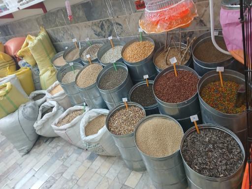 عکس خوراک پرندگان 