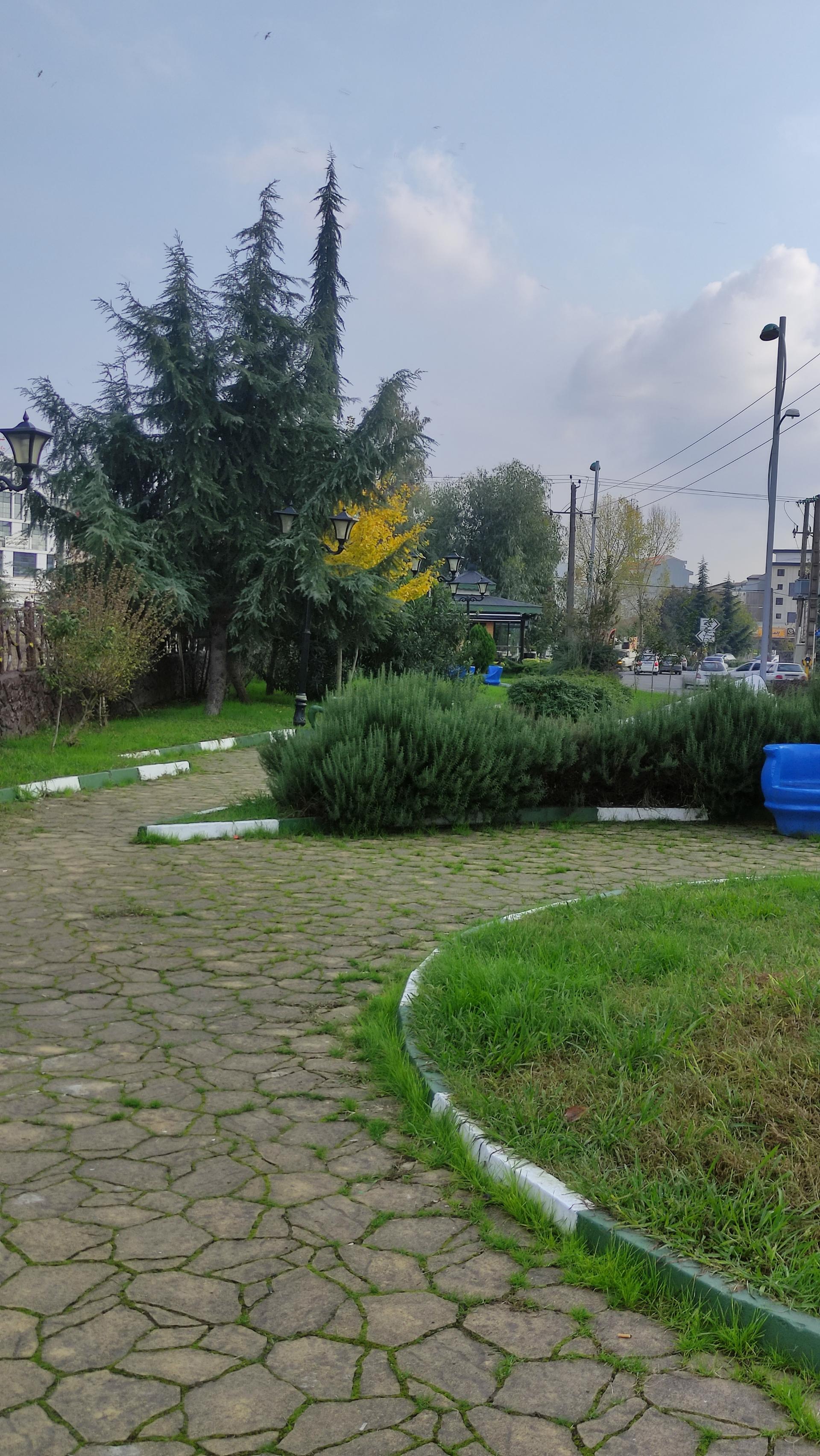 عکس بوستان دمنوش