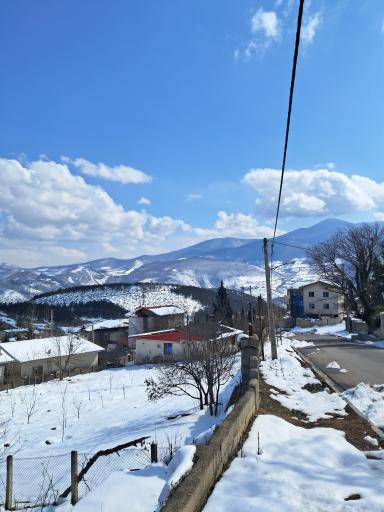 عکس پردنگون