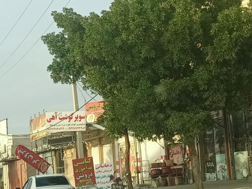 کبابی درویش 