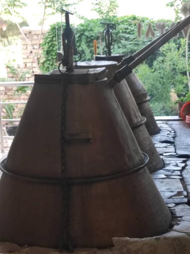 عکس گلابگیری کمیل