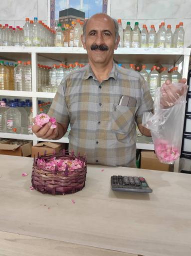 عکس گلابگیری کمیل