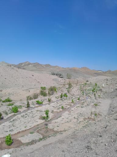 عکس عوض