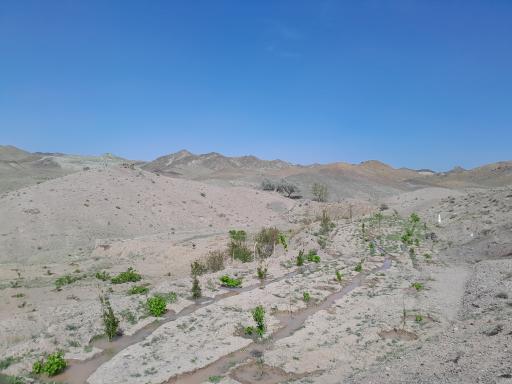 عکس عوض
