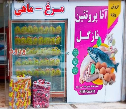 عکس آتا پروتئین نازگل