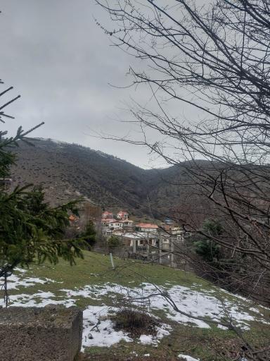 عکس پردنگون