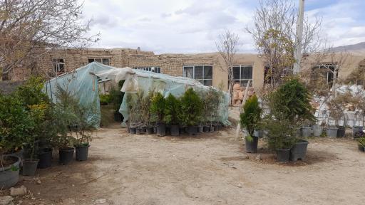 عکس گلخانه نیلوفر