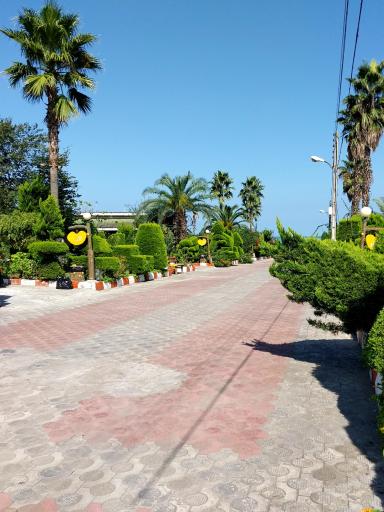 عکس مجتمع گلها (کشتیرانی)