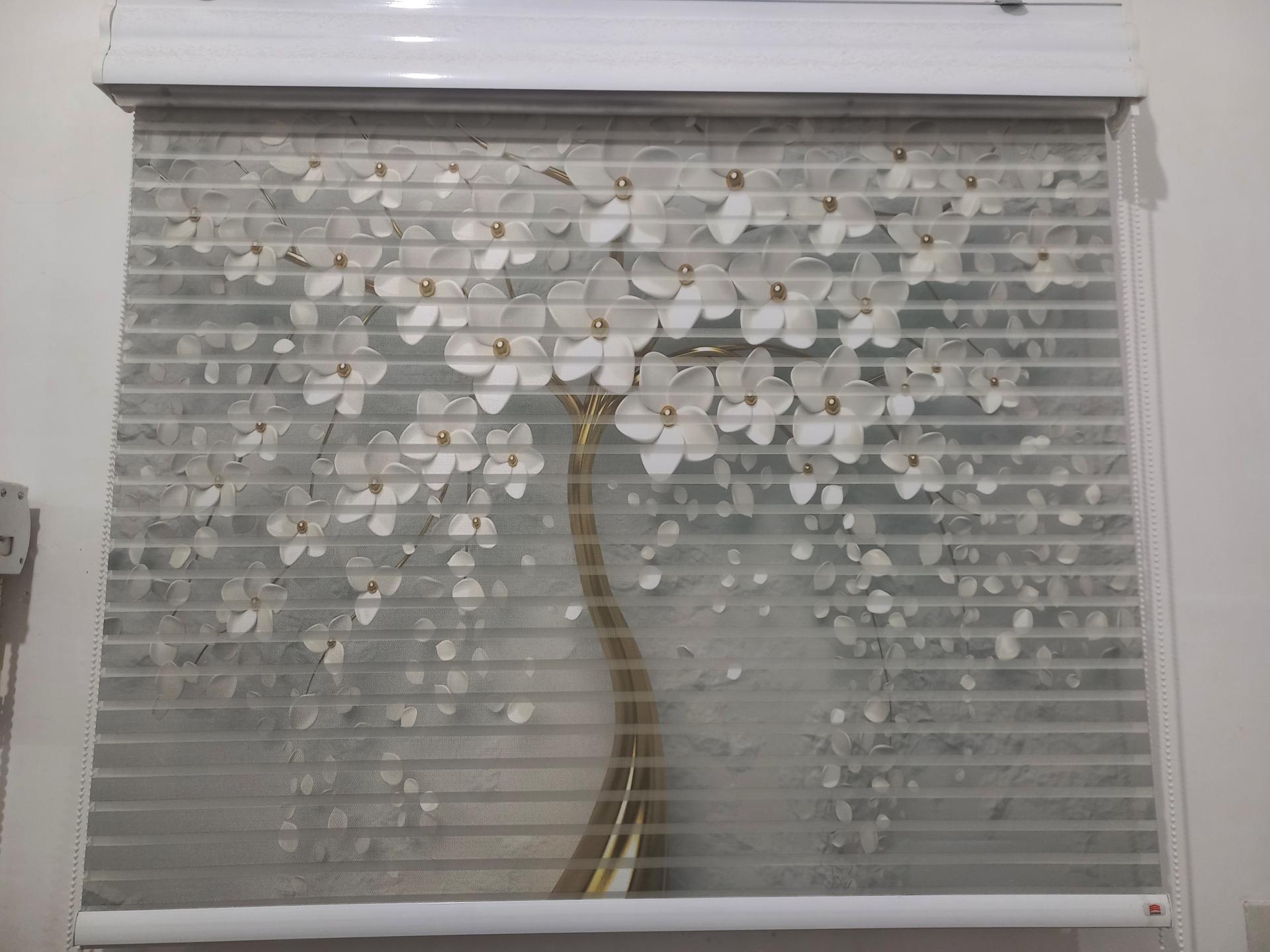 عکس گالری پرده علیزاده