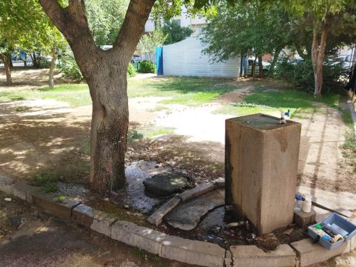 عکس بوستان گلستان