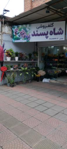 عکس گلفروشی شاه پسند