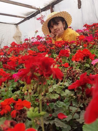 عکس گل و گیاه نیری