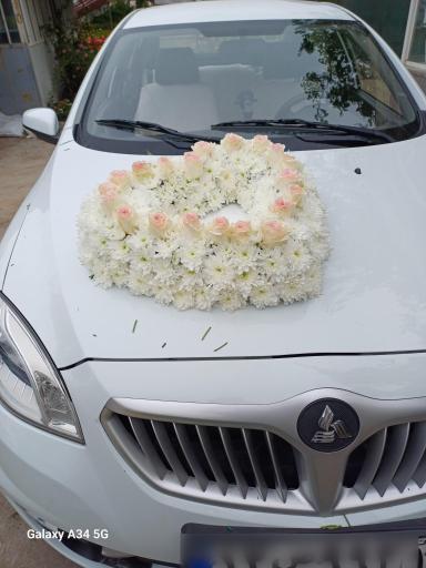 عکس گل و گیاه نیری