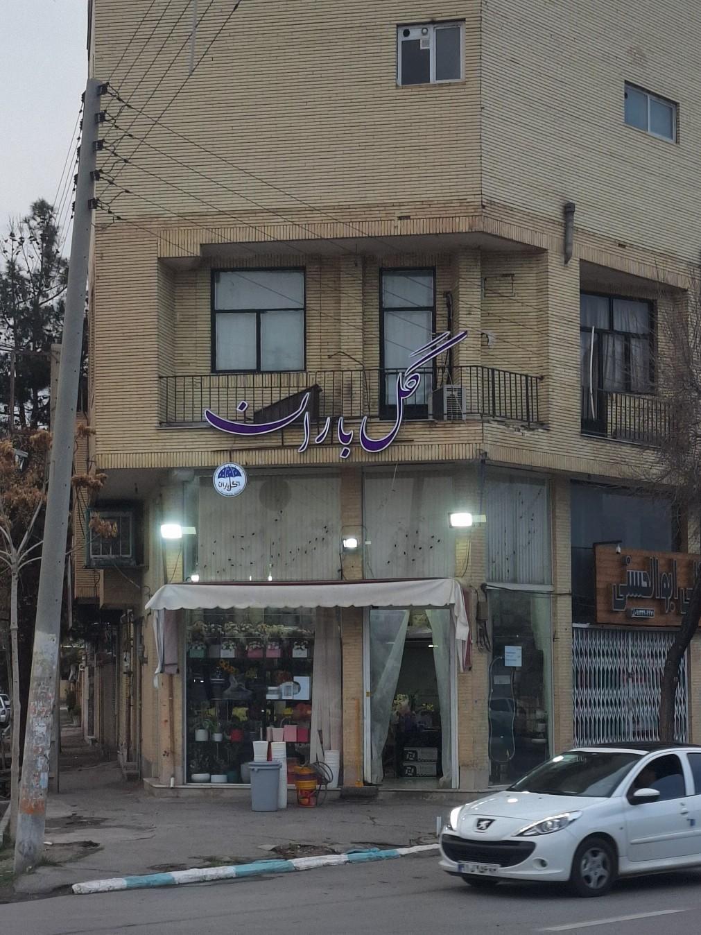 عکس گل فروشی گل باران