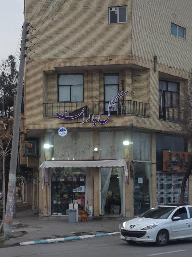 عکس گل فروشی گل باران