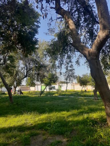 عکس پارک کشاورز