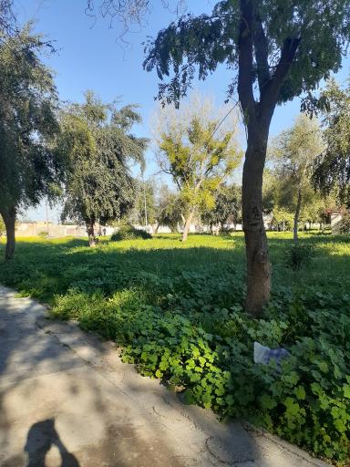 عکس پارک کشاورز