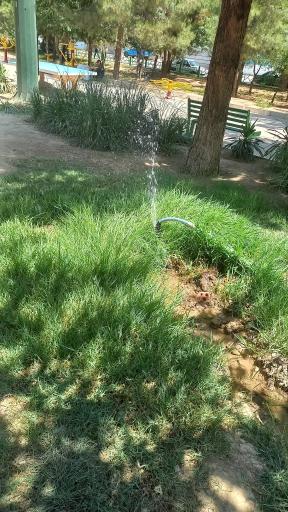 عکس بوستان گلستان