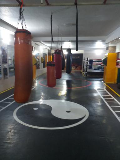 عکس باشگاه ویکتور