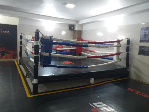 عکس باشگاه ویکتور