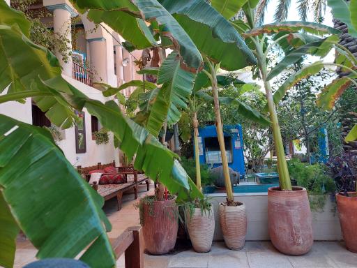 عکس سفره خانه سنتی نریمان