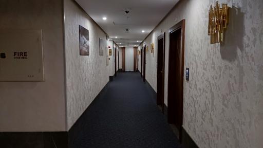 عکس هتل ولیعصر