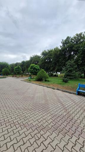 عکس پارک شورا