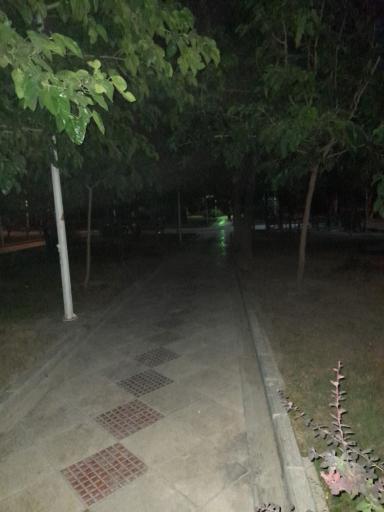 عکس پارک یاسمن