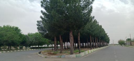 عکس پارک جنگلی بهار 