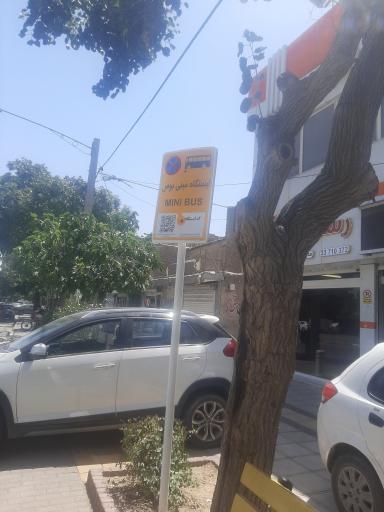 عکس  مهریز 22