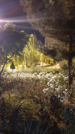 عکس بوستان پویش