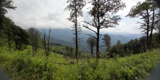 عکس آبشار جنگل سیاهکل