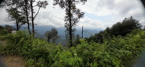 عکس آبشار جنگل سیاهکل